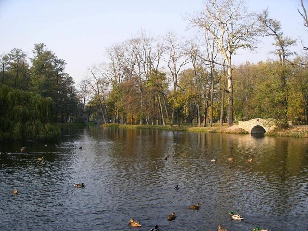Comfortbiznes Pruszków Εξωτερικό φωτογραφία